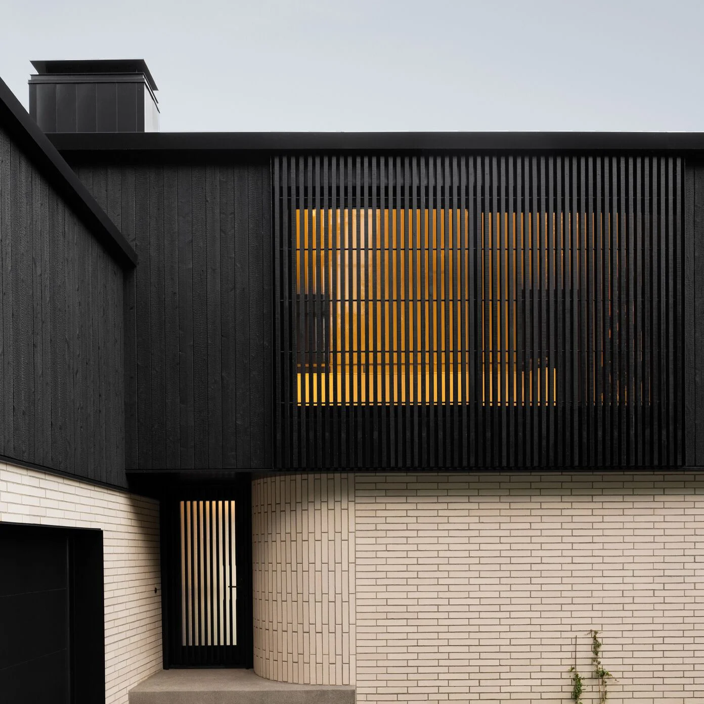 Modern house with Yakisugi facade cladding in deep black tone with natural wood structure